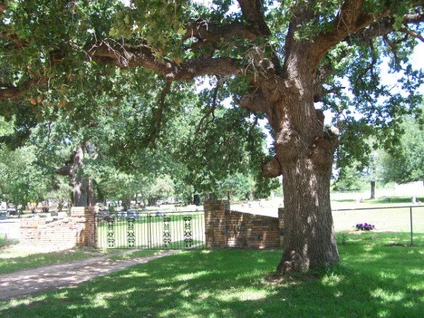 City Cemetery - Gause, Milam, TX